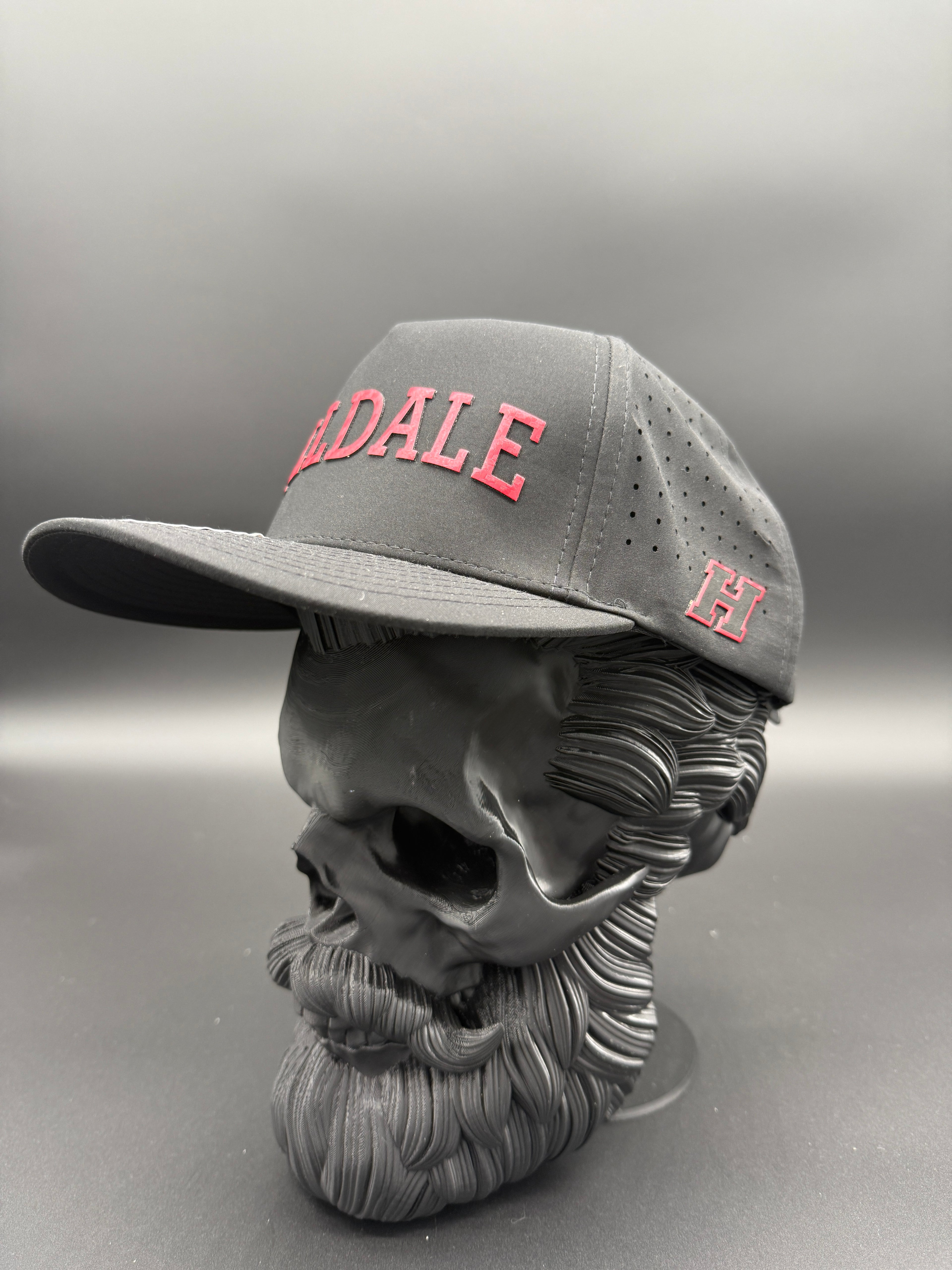 Hilldale 3D Mascot Black Cap