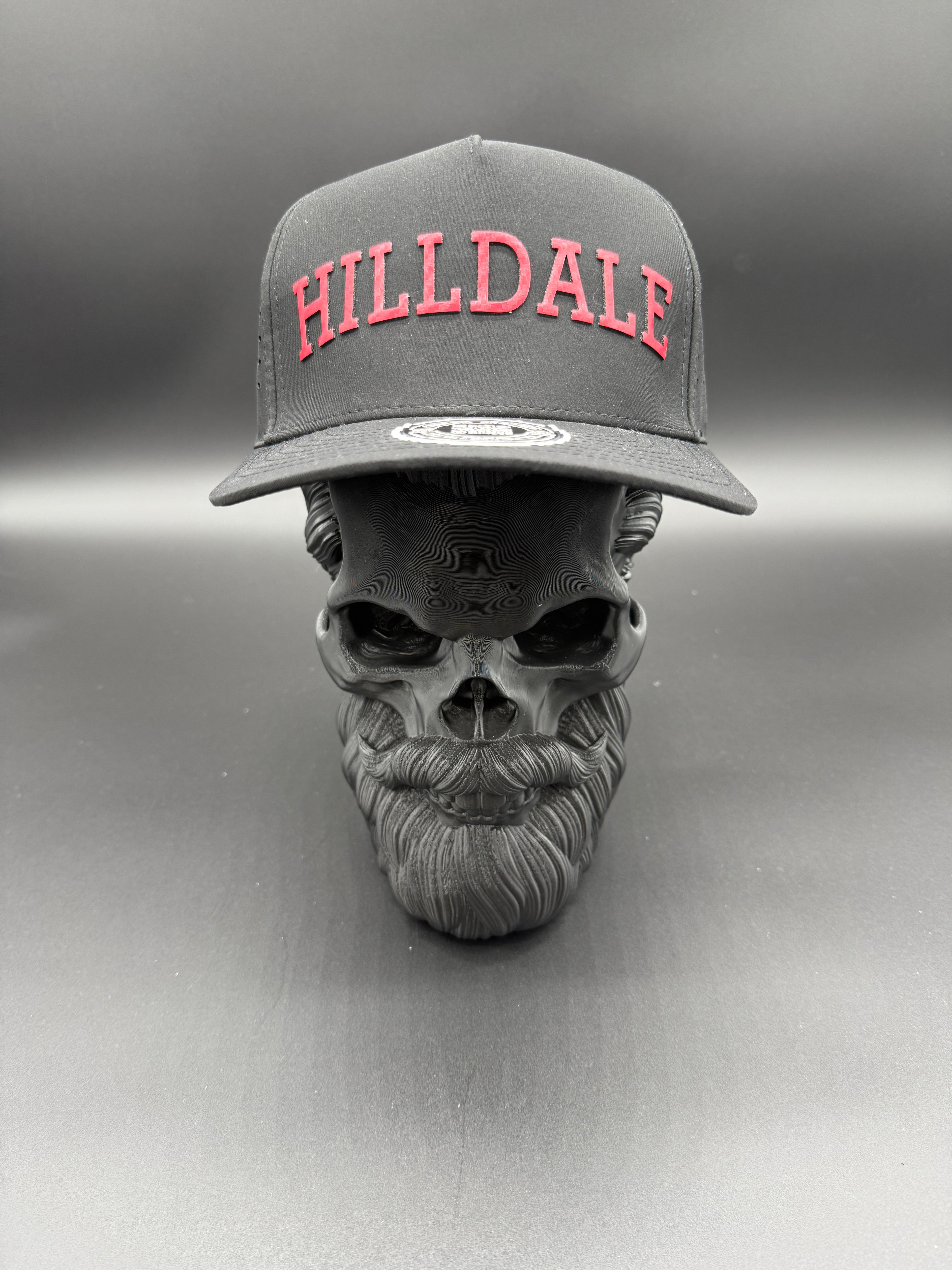 Hilldale 3D Mascot Black Cap