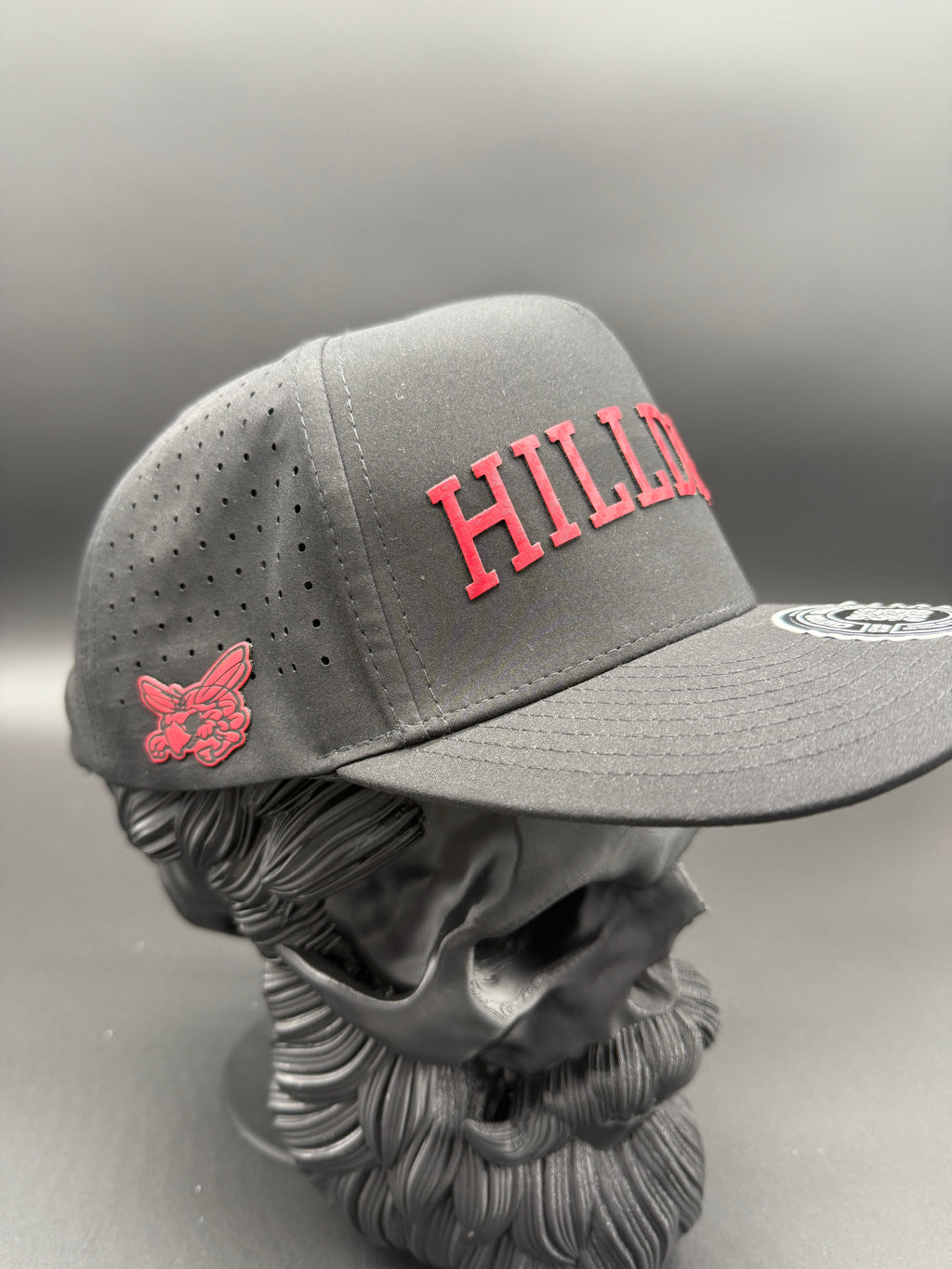 Hilldale 3D Mascot Black Cap
